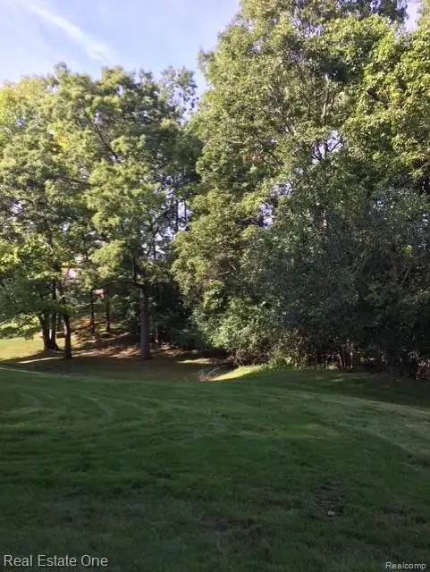 6463 Maple Hills Lane, Bloomfield Hills, MI 48301 - #3