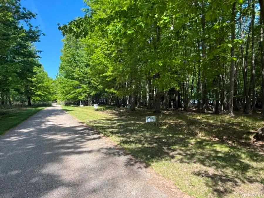 Lot 14 Towering Oaks Drive, Port Austin, MI 48467 - #3