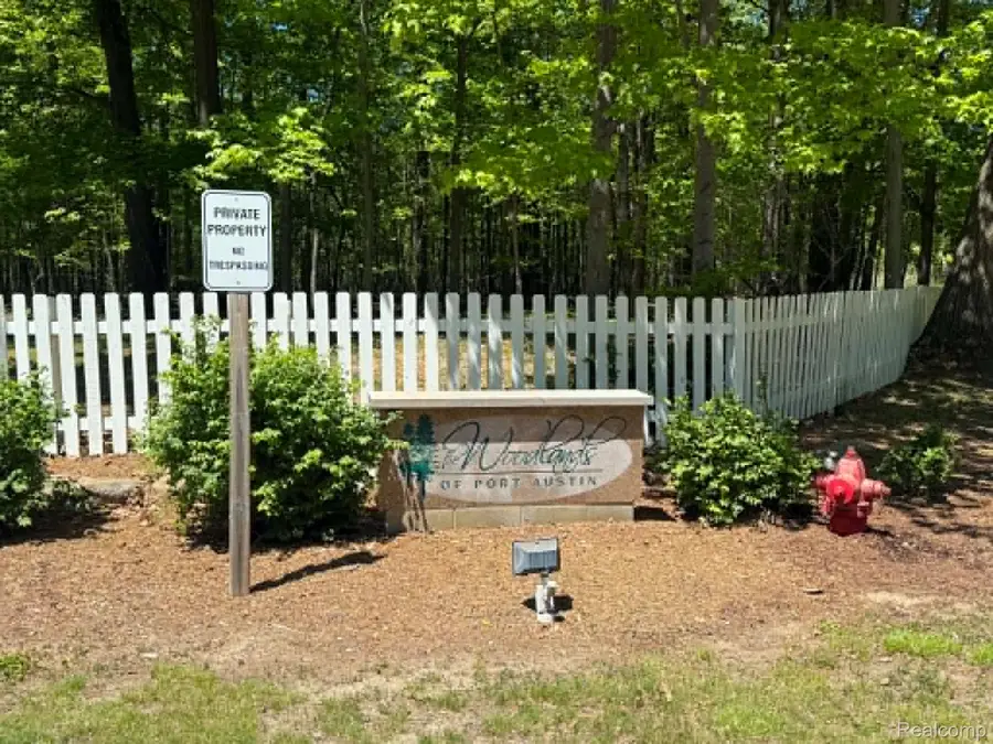 Lot 15 Towering Oaks Drive, Port Austin, MI 48467 - #2