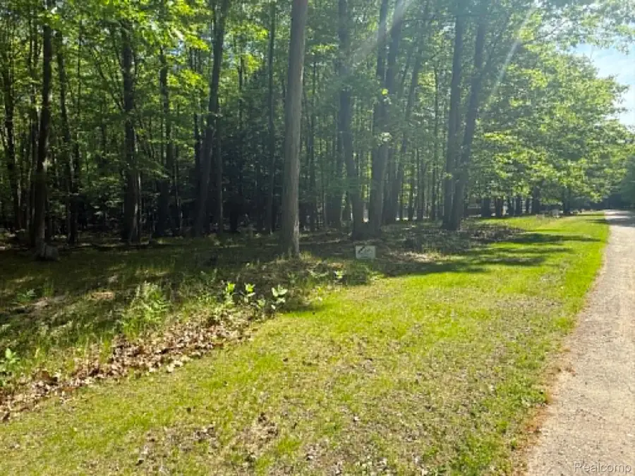 Lot 15 Towering Oaks Drive, Port Austin, MI 48467 - #3