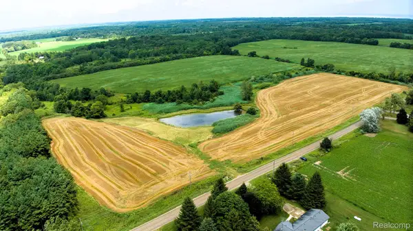 VL Custer Road, Carsonville, MI 48419