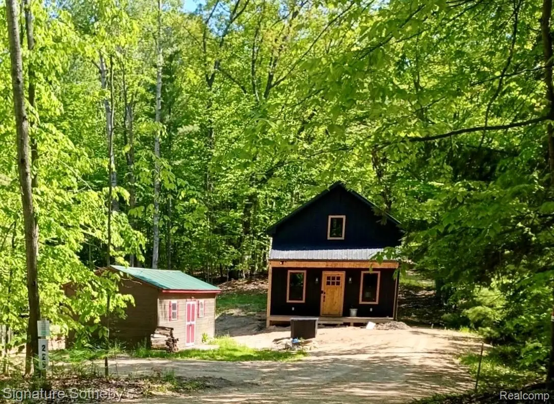 229 Forest Trail, Leroy, MI 49655 - #1