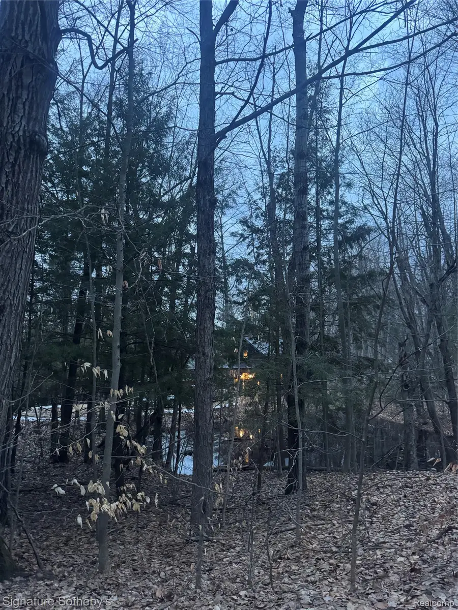 229 Forest Trail, Leroy, MI 49655 - #3