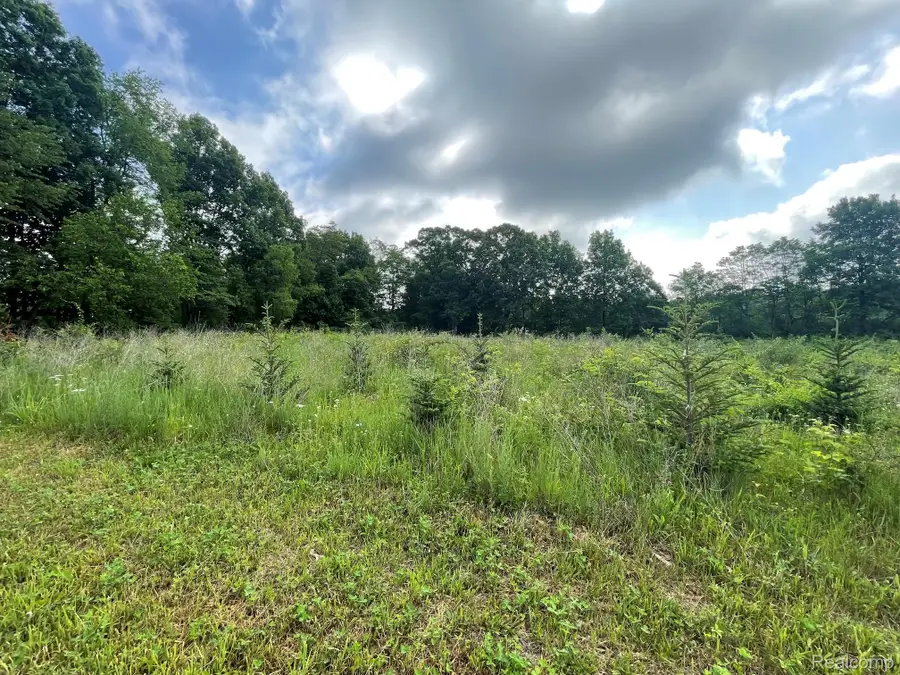 08 Tipsico Lake, Highland, MI 48357 - #2
