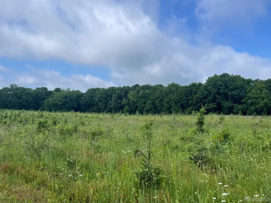 08 Tipsico Lake, Highland, MI 48357 - #3