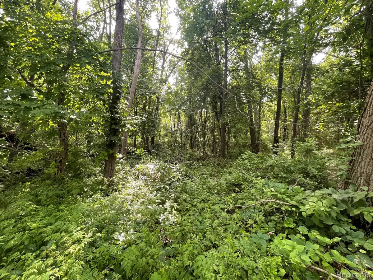 09 Tipsico Lake Road, Highland, MI 48357 - #1