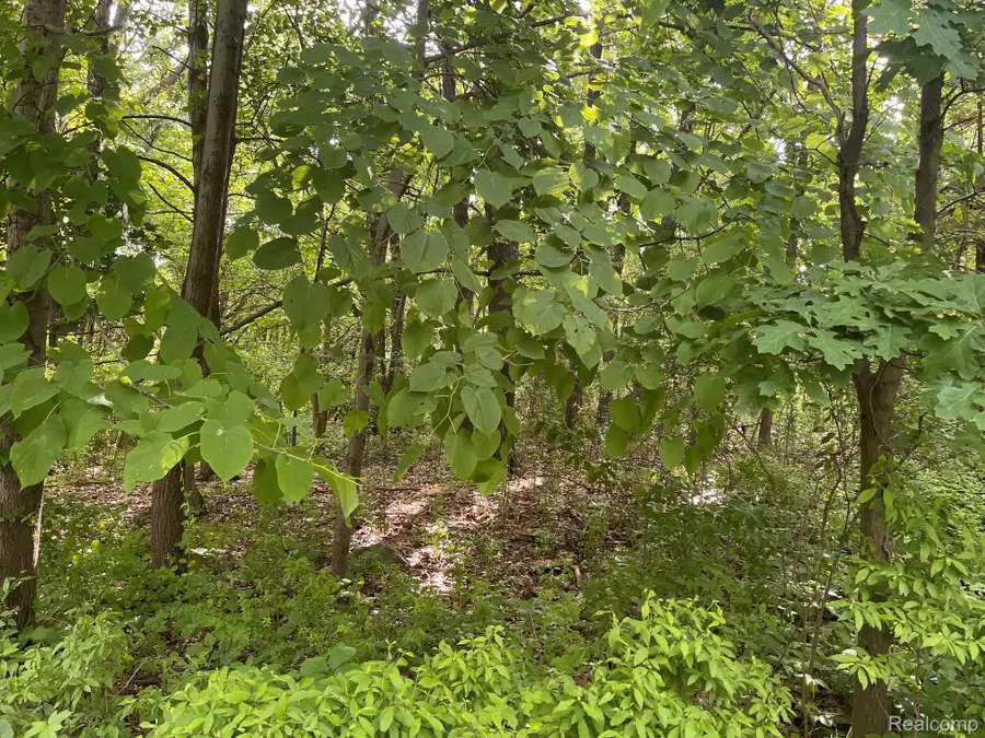 09 Tipsico Lake Road, Highland, MI 48357 - #2