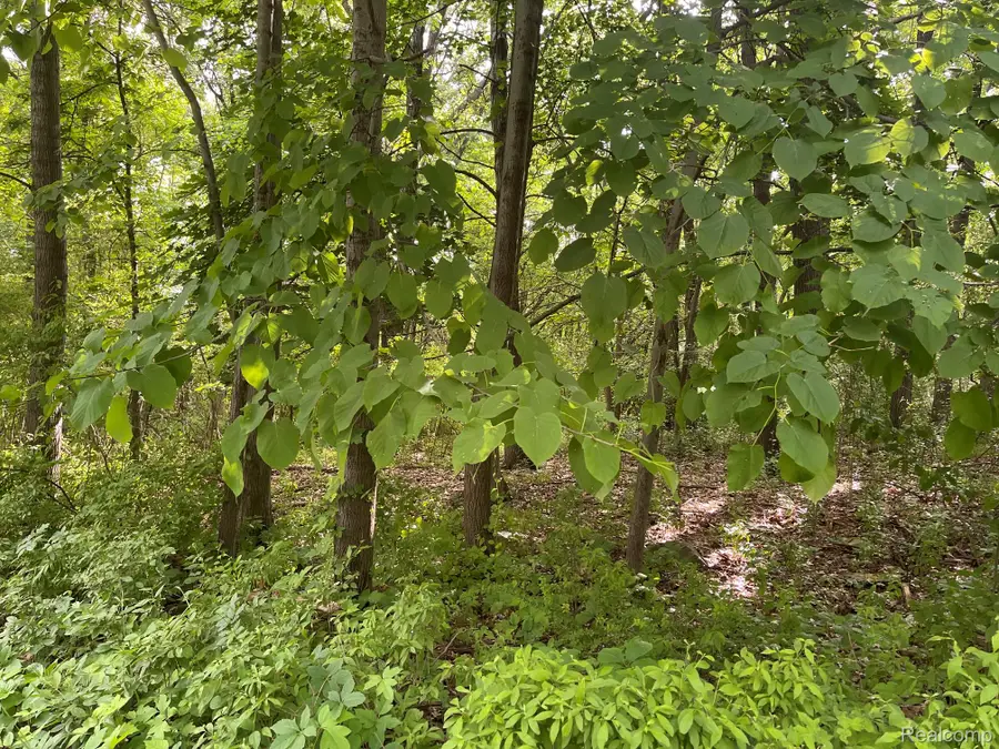 09 Tipsico Lake Road, Highland, MI 48357 - #3