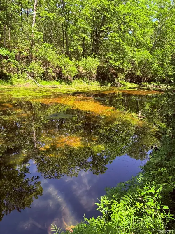 2620 Weaver Road, PortAustin, MI 48467