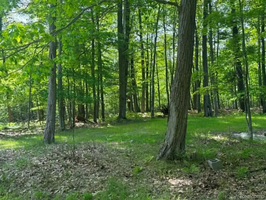 Lot 4 Towering Oaks Drive, Port Austin, MI 48467 - #3