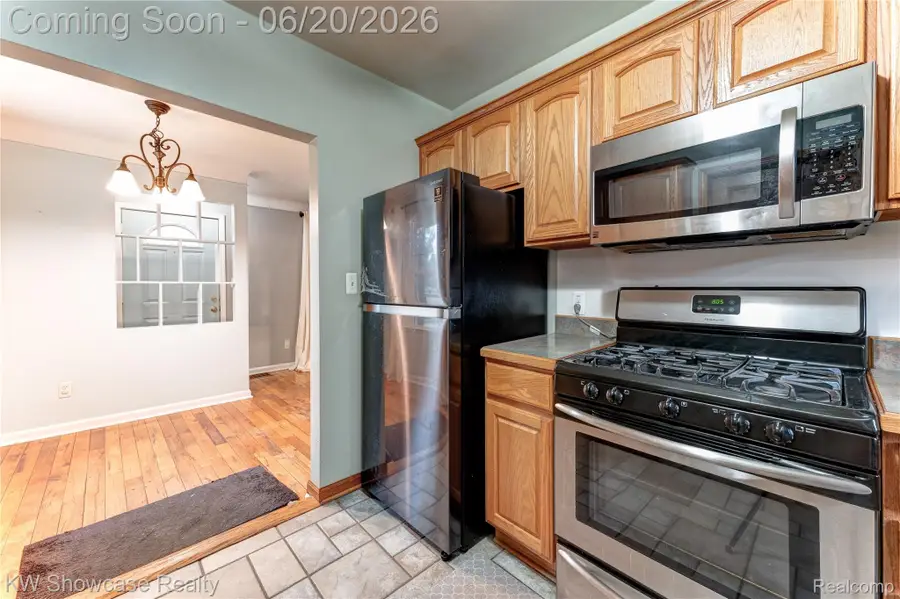 19175 Shadyside Street, Livonia, MI 48152 - #3