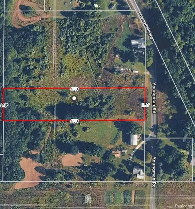 V/L Youngman Road, Greenville, MI 48838 - #1