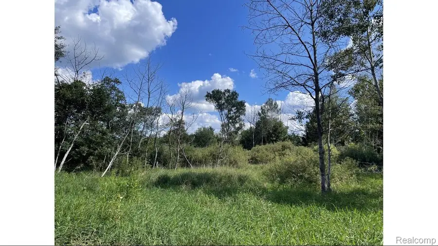 9507 Modena Farms, South Lyon, MI 48178 - #3