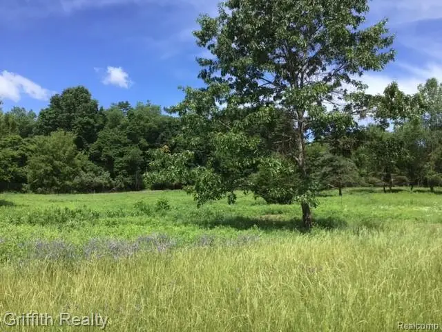 Parcel 1 E Coon Lake Road, Howell, MI 48843 - #2