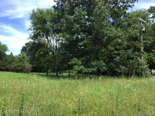 Parcel 1 E Coon Lake Road, Howell, MI 48843 - #3