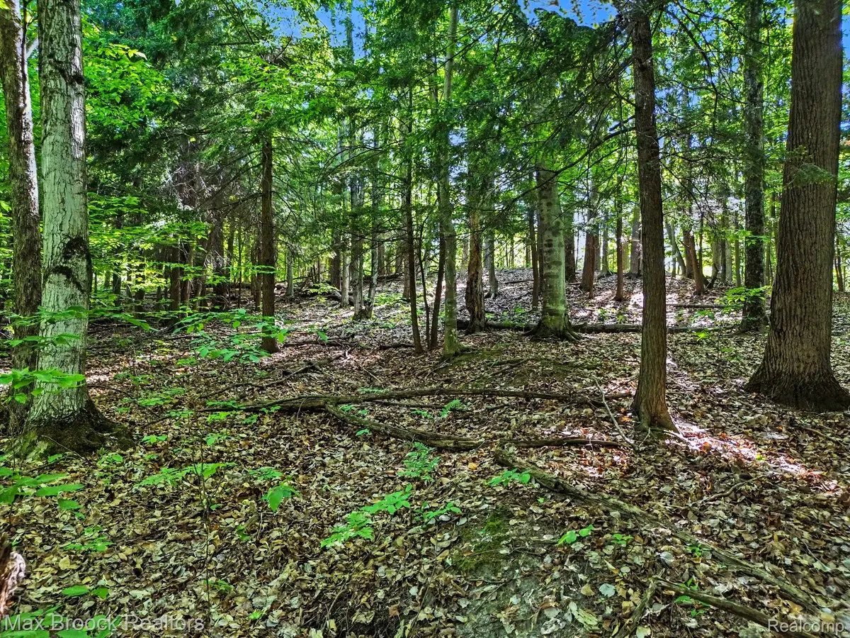 125 Legend Trail, Bellaire, MI 49615 - #1