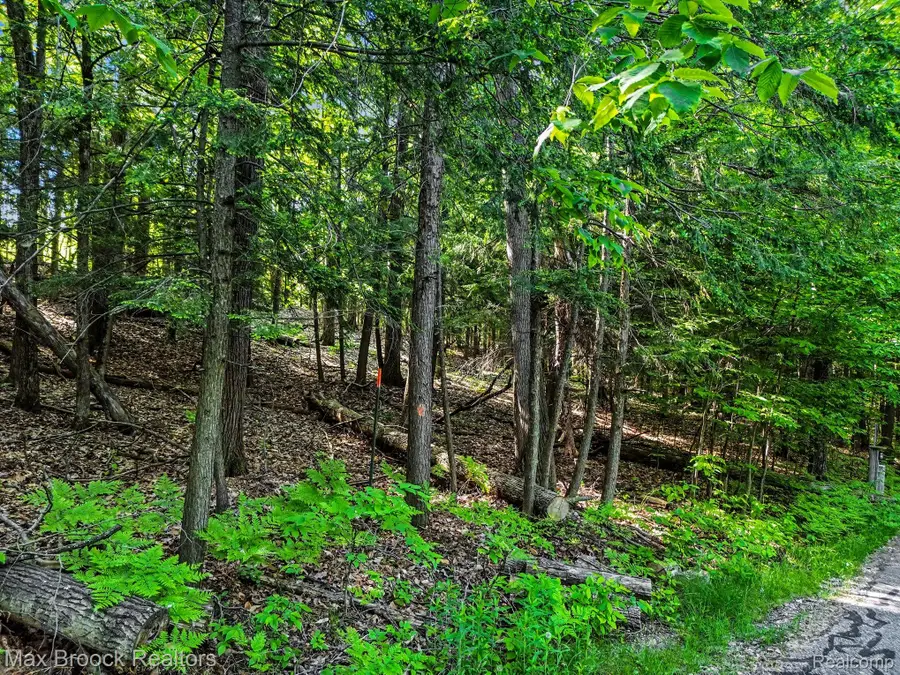 125 Legend Trail, Bellaire, MI 49615 - #3
