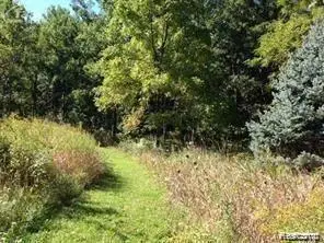 6308 Pointe North Drive, Grand Blanc, MI 48439 - #2