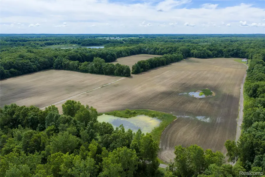 10069 Silver Lake Road, Linden, MI 48451 - #3