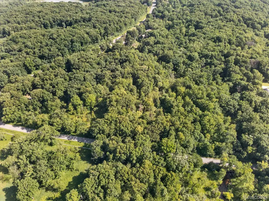 V/L Kirby Road, Bedford, MI 49017 - #3