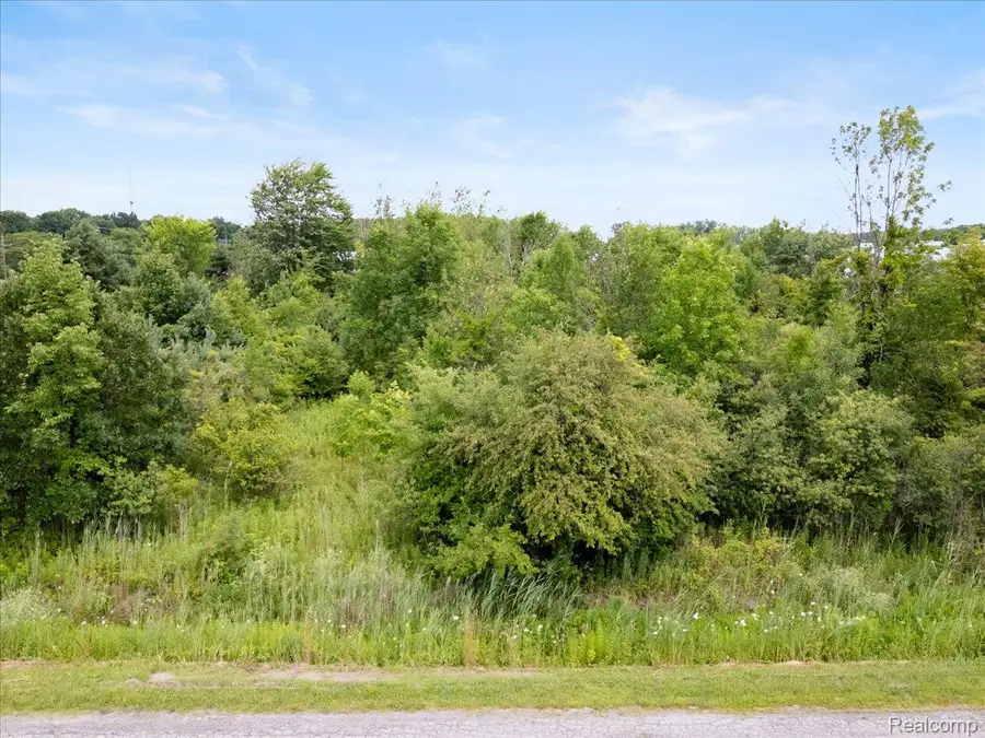 0000 Yeager, Port Huron, MI 48060 - #3