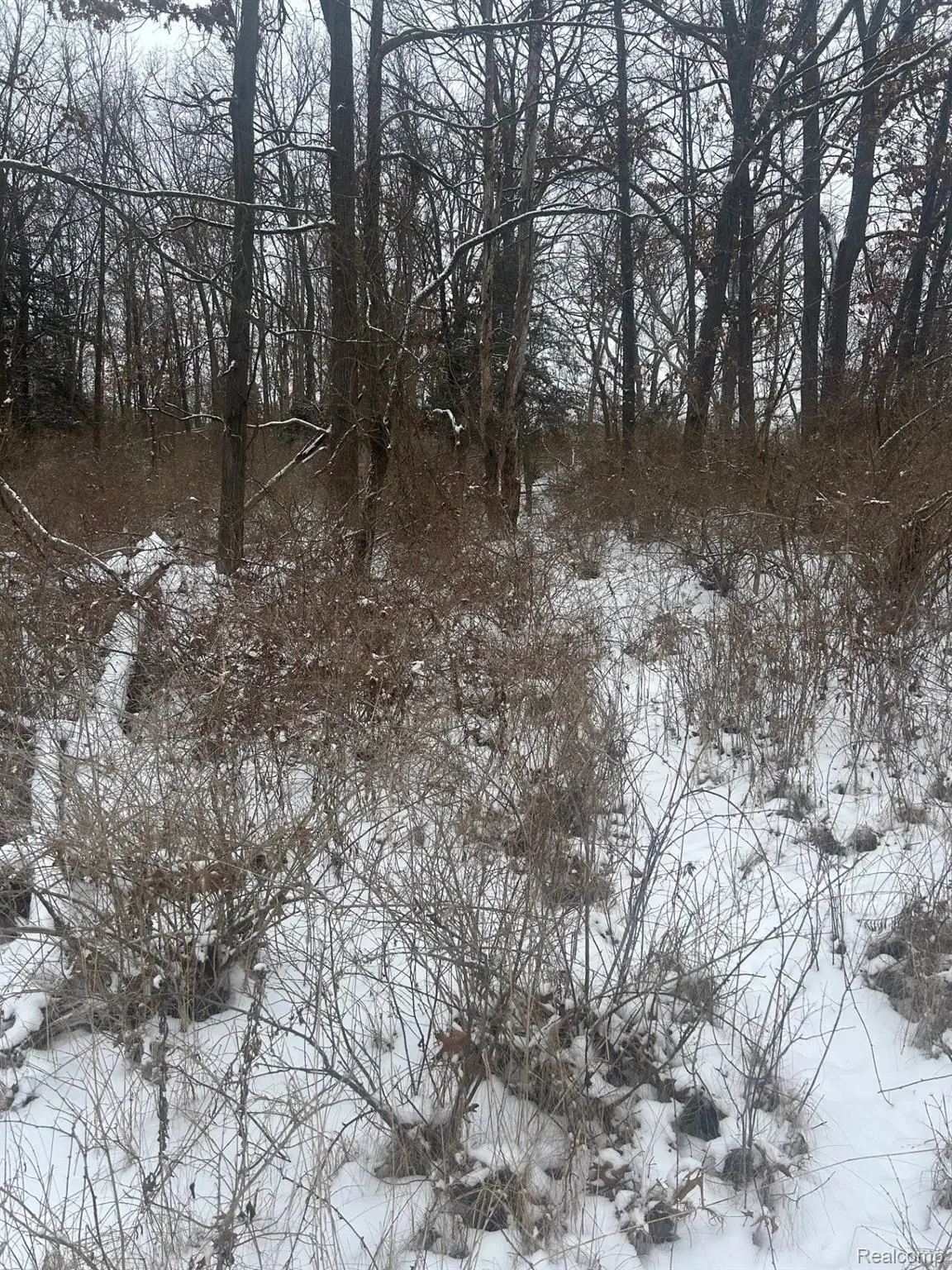 12840 Larkins Road, Brighton, MI 48114 - #1