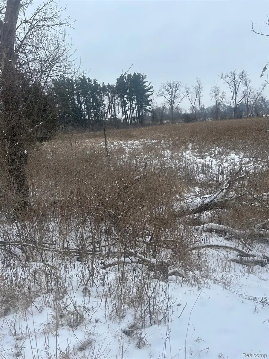 12840 Larkins Road, Brighton, MI 48114 - #2