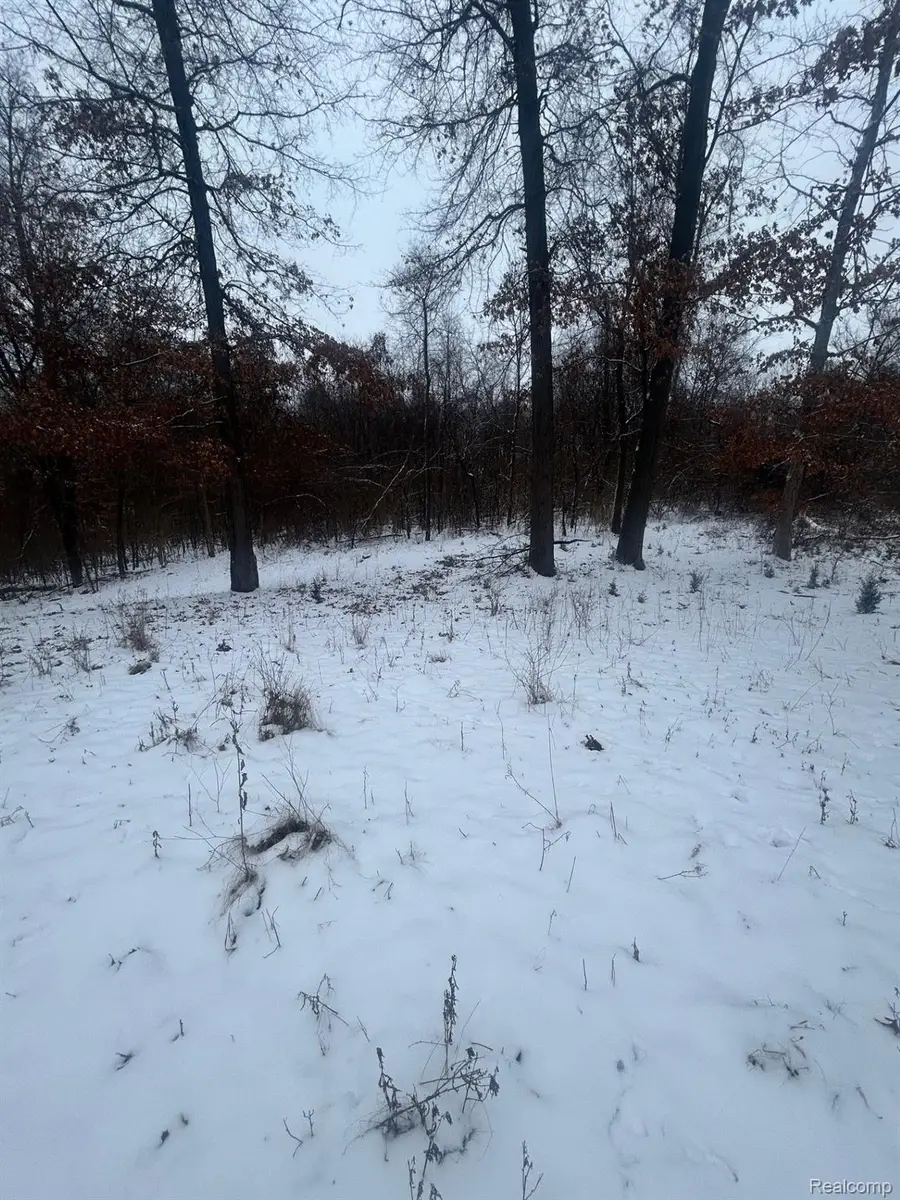 12840 Larkins Road, Brighton, MI 48114 - #3