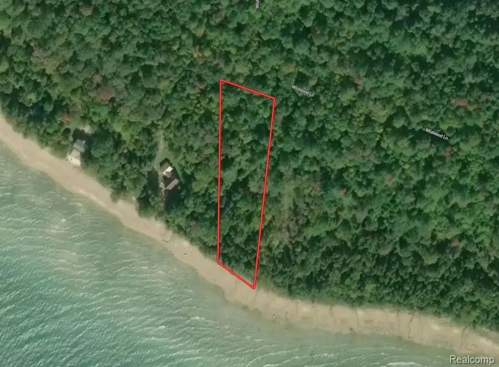 4511 Shore Road, Moran, MI 49760 - #1