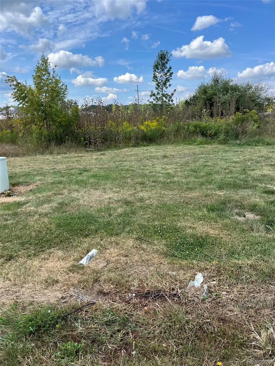 Vacant Land Grand River Avenue, Fowlerville, MI 48836 - #2