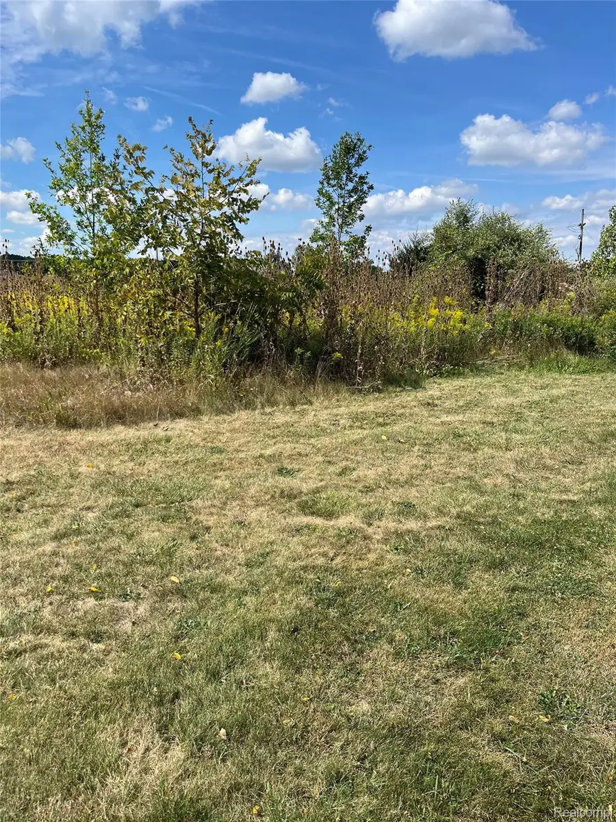 Vacant Land Grand River Avenue, Fowlerville, MI 48836 - #3