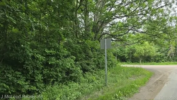 VL N Lewis Road, Clio, MI 48420