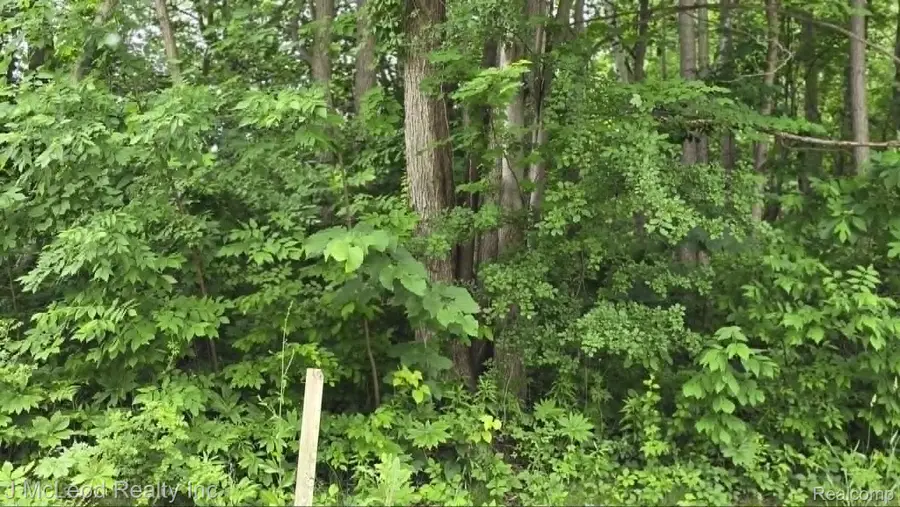 VL N Lewis Road, Clio, MI 48420 - #2
