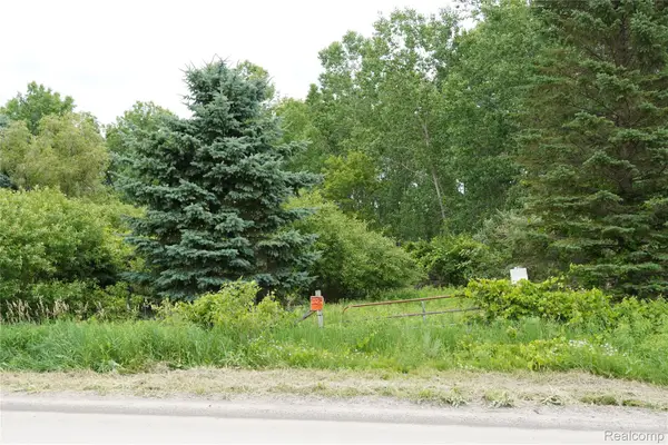 11349 Hogan Road, Gaines, MI 48436