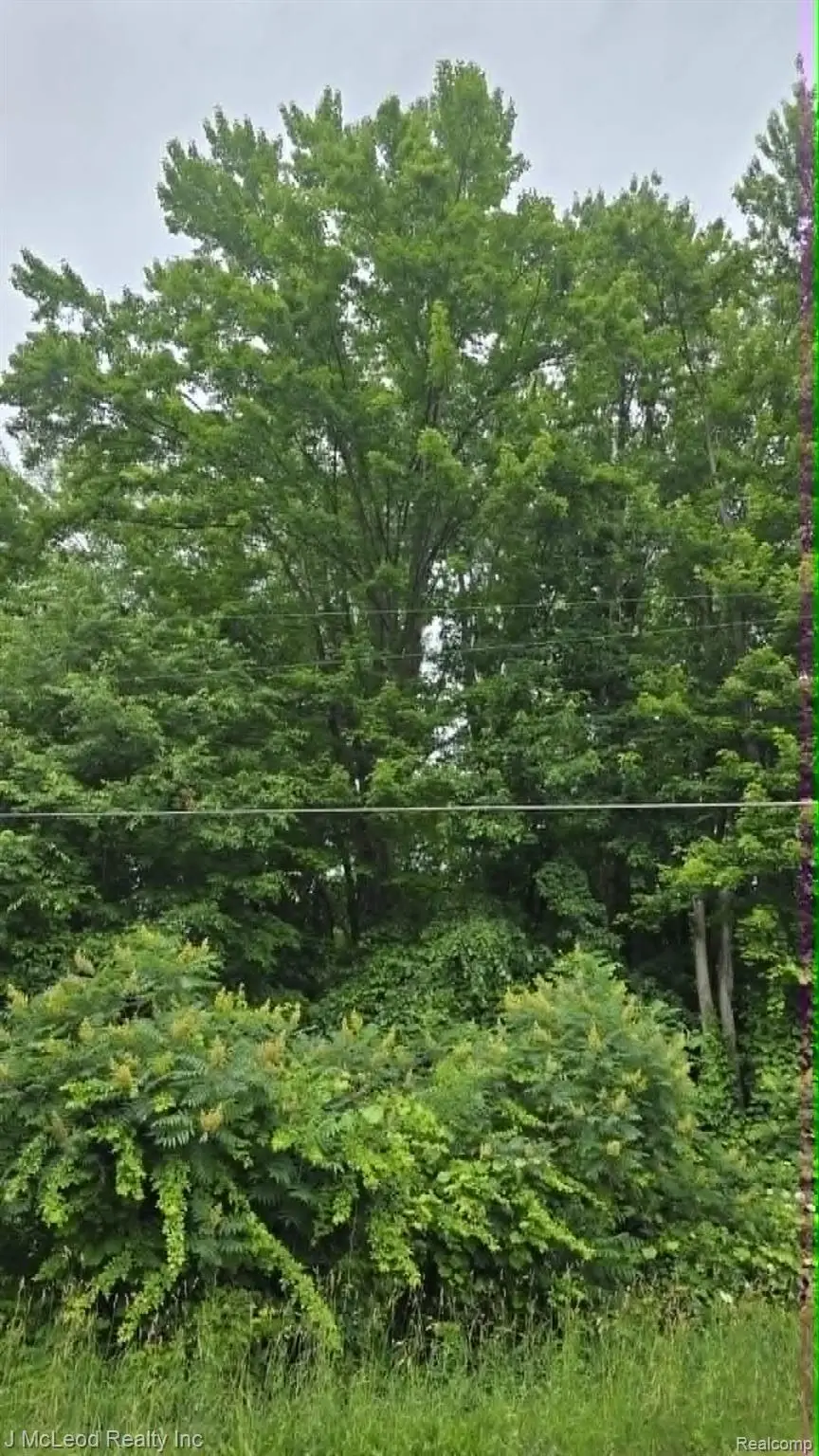 VL N Lewis Road, Clio, MI 48420 - #2