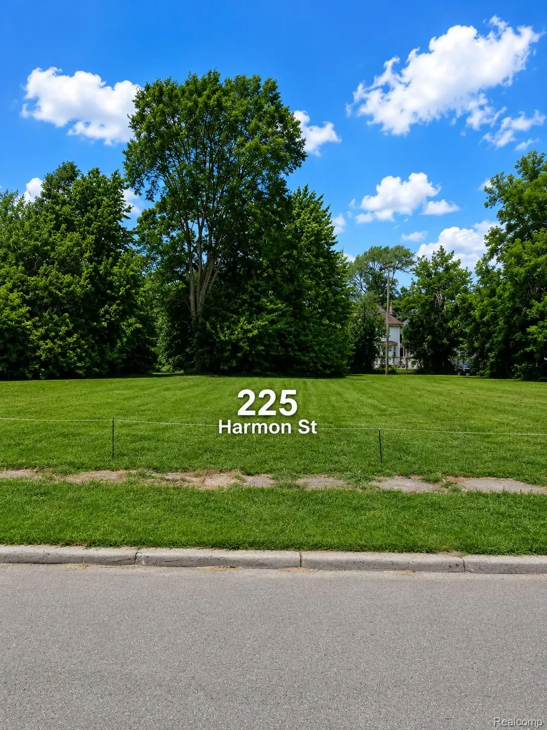 225 Harmon Street, Detroit, MI 48202 - #1