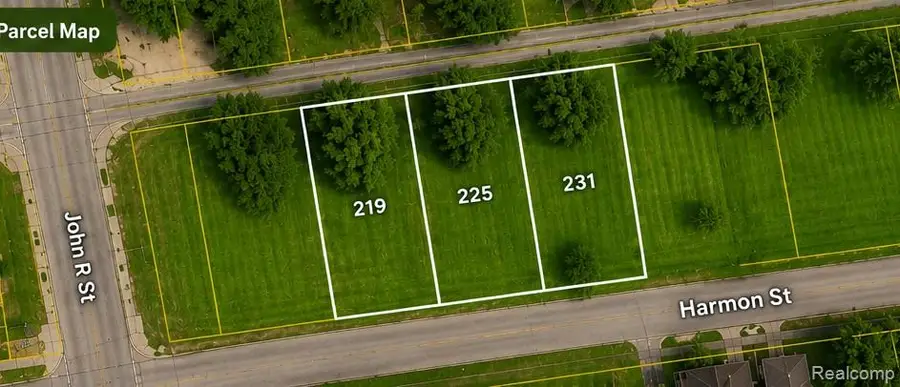 225 Harmon Street, Detroit, MI 48202 - #3