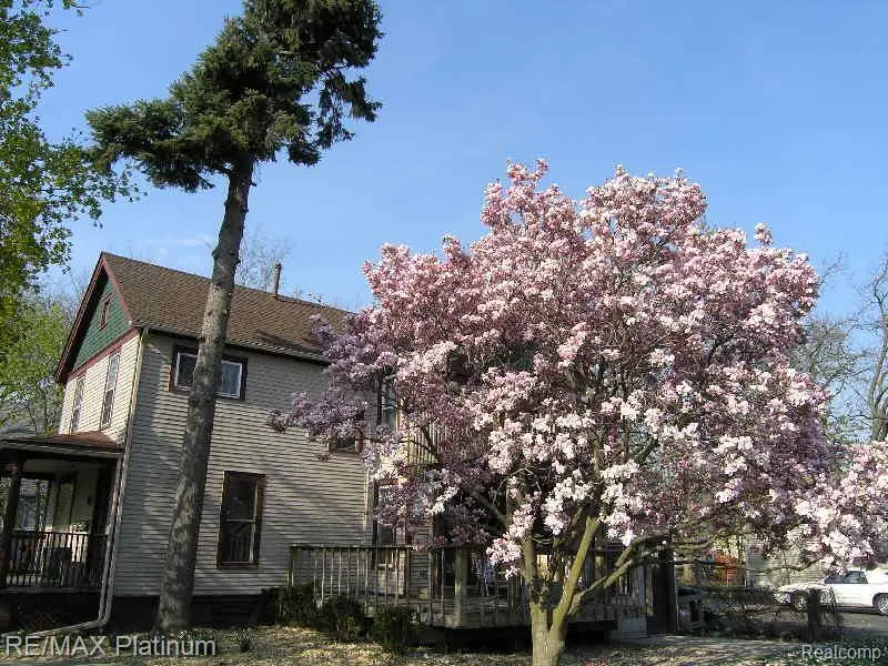 14 Ballard Street, Ypsilanti, MI 48197 - #3