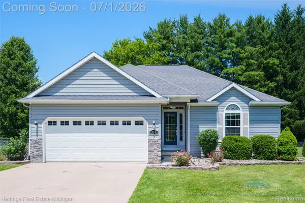 319 E Diamond Way, Morrice, MI 48857
