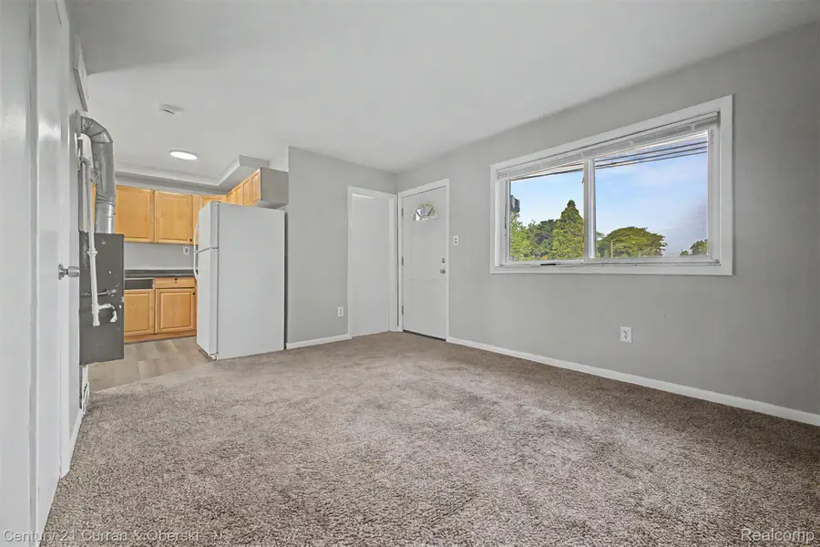 1432 Charter Street, Lincoln Park, MI 48146 - #3