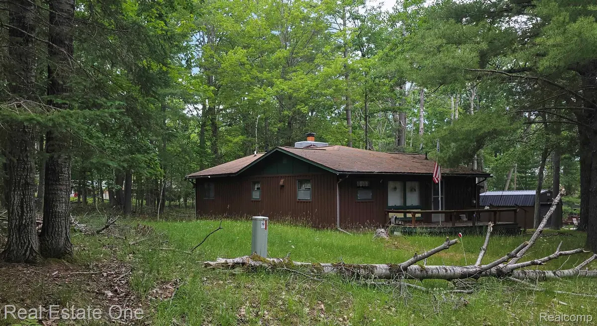 4233 N Pheasant Road, Lincoln, MI 48742 - #1