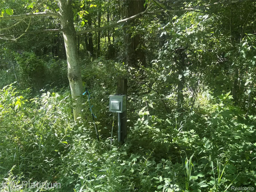 7280 North Road, Burtchville, MI 48059 - #2