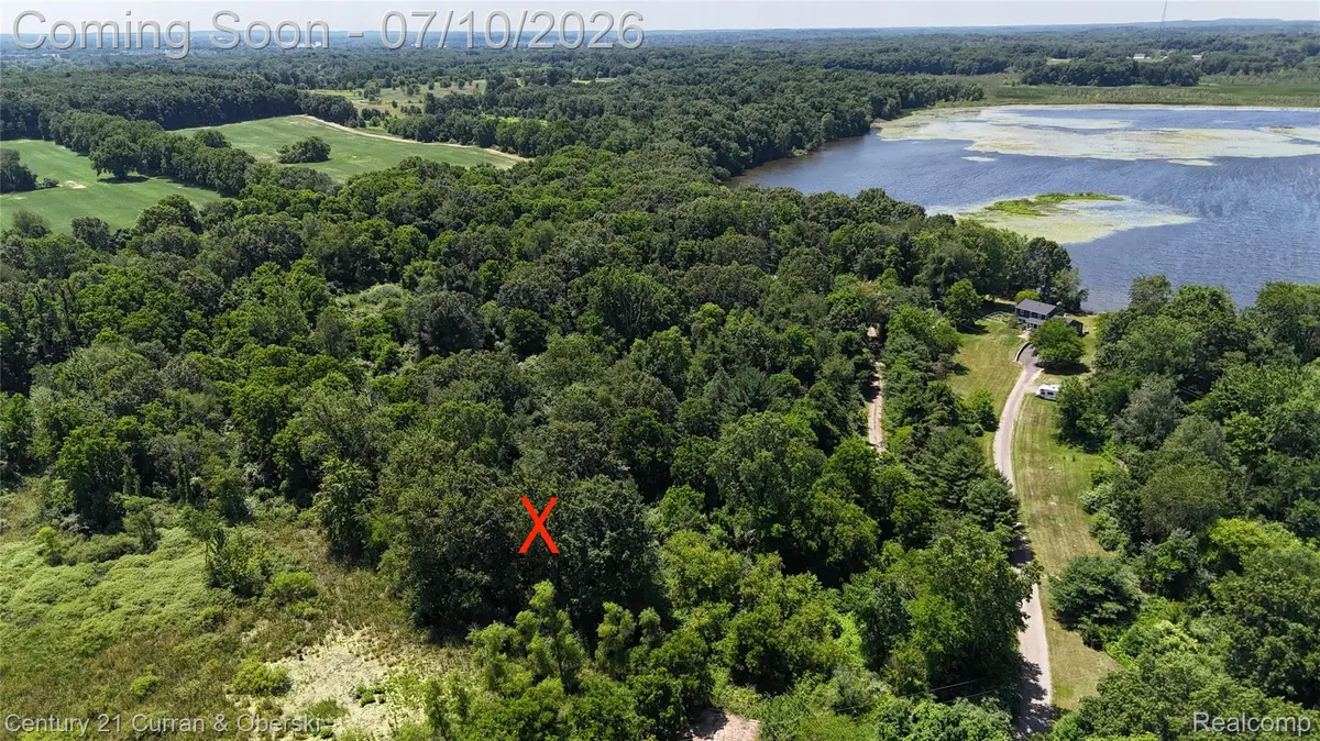 13505 Island Lake Road, Chelsea, MI 48118 - #1