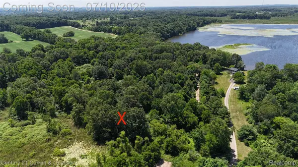 13505 Island Lake Road, Chelsea, MI 48118