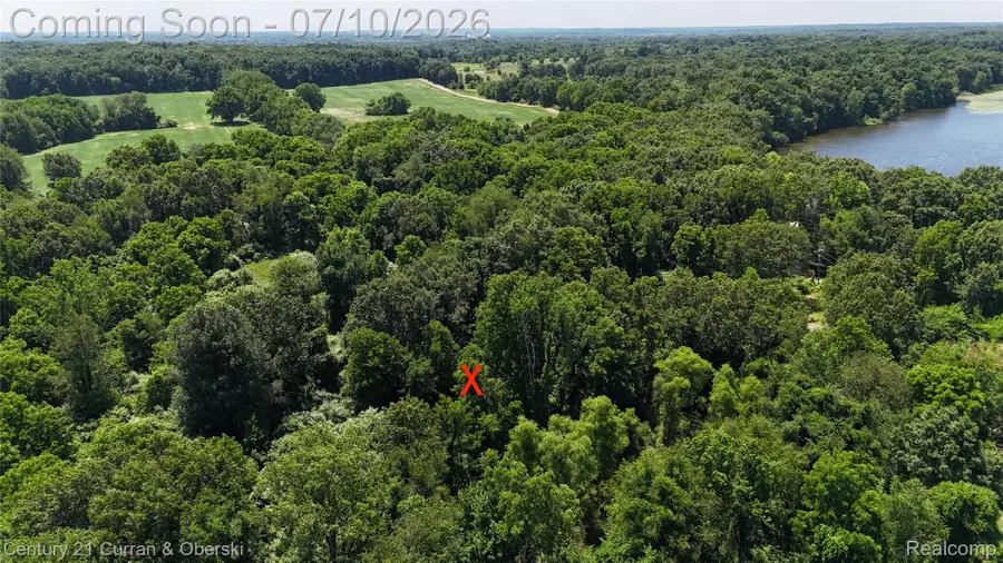 13505 Island Lake Road, Chelsea, MI 48118 - #2