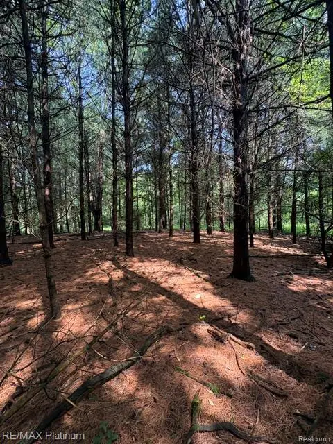 Parcel 5 Dauner Road, Fenton, MI 48430 - #3