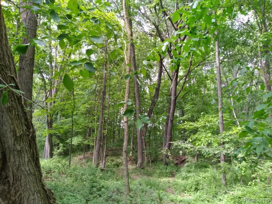 000 Rose Hill Rd, Pinckney, MI 48169 - #2