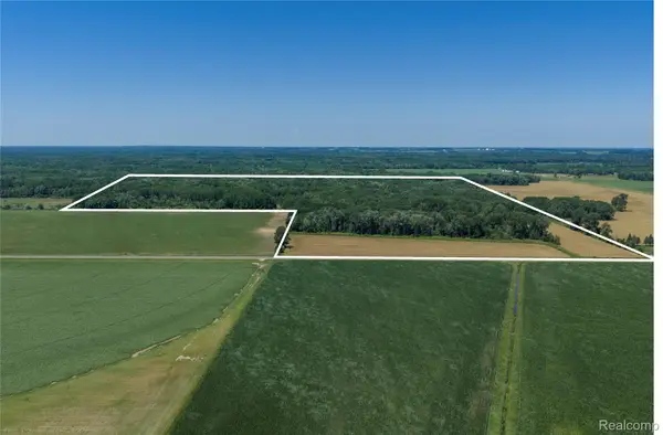 000 Dodge Rd, CassCity, MI 48726