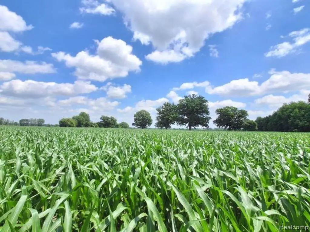 AUCTION Lot# 1 10 acres Dryden Road, Capac, MI 48014 - #1