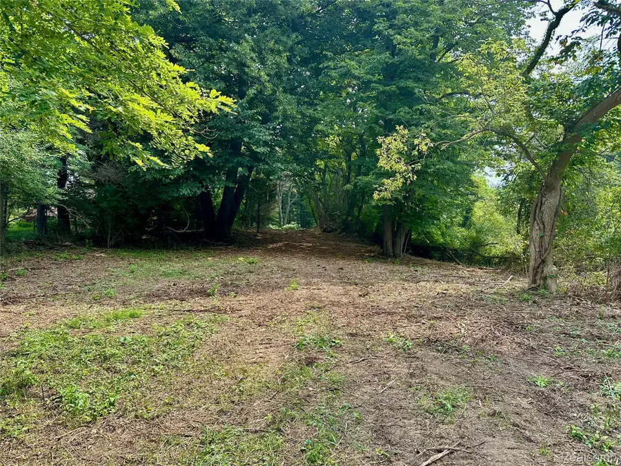 0 Latson Road, Howell, MI 48843 - #2